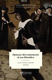 Spinoza: del comentario al uso filosófico (eBook, ePUB)