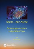 Asche - nur Asche (eBook, ePUB)