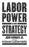 Labor Power and Strategy (eBook, ePUB)