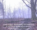 One Foggy Morning in Winter: In the Creasey Mahan Nature Preserve