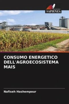CONSUMO ENERGETICO DELL'AGROECOSISTEMA MAIS - Hashempour, Nafiseh