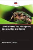 Lutte contre les ravageurs des plantes au Kenya