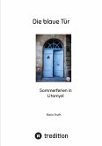 Die blaue Tür (eBook, ePUB)