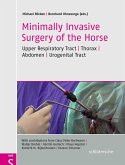 Minimally invasive surgery of the Horse (eBook, PDF)