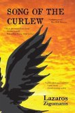 Song of the Curlew (eBook, ePUB)