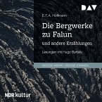 Die Bergwerke zu Falun und andere Erzählungen (MP3-Download)