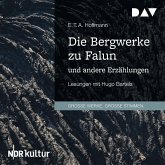 Die Bergwerke zu Falun und andere Erzählungen (MP3-Download)