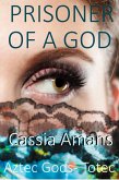 Prisoner of a God (Aztec Gods Totec, #1) (eBook, ePUB)