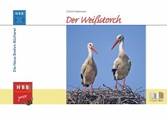 Der Weißstorch - Kattmann, Ulrich