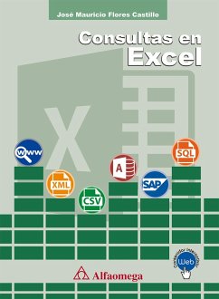 Consultas en Excel (eBook, PDF) - Flores Castillo, José Mauricio