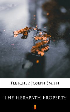 The Herapath Property (eBook, ePUB) - Fletcher, Joseph Smith