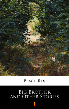 Big Brother and Other Stories (eBook, ePUB) - Beach, Rex