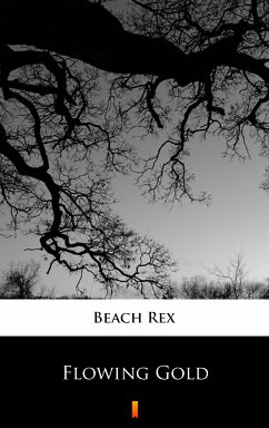 Flowing Gold (eBook, ePUB) - Beach, Rex