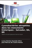 Cyanobactéries aérophiles dans les monuments historiques - Salvador, BA, BR
