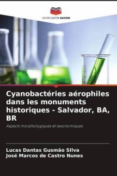 Cyanobactéries aérophiles dans les monuments historiques - Salvador, BA, BR - Gusmão SIlva, Lucas Dantas;de Castro Nunes, José Marcos