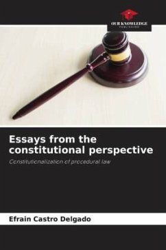 Essays from the constitutional perspective - Castro Delgado, Efrain