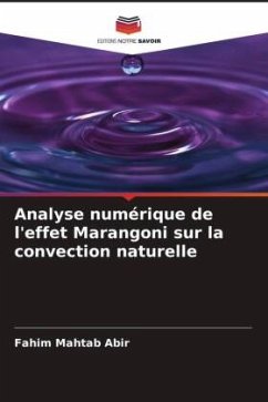 Analyse numérique de l'effet Marangoni sur la convection naturelle - Abir, Fahim Mahtab