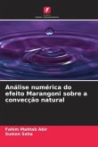 Análise numérica do efeito Marangoni sobre a convecção natural