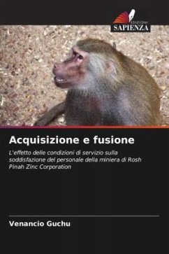 Acquisizione e fusione - Guchu, Venancio