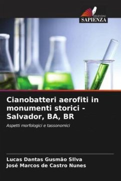 Cianobatteri aerofiti in monumenti storici - Salvador, BA, BR - Gusmão SIlva, Lucas Dantas;de Castro Nunes, José Marcos