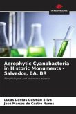 Aerophytic Cyanobacteria in Historic Monuments - Salvador, BA, BR