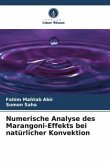 Numerische Analyse des Marangoni-Effekts bei natürlicher Konvektion