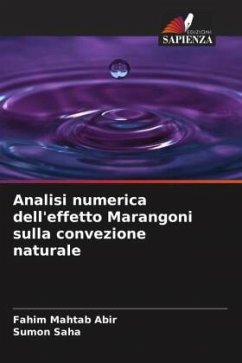 Analisi numerica dell'effetto Marangoni sulla convezione naturale - Abir, Fahim Mahtab;Saha, Sumon