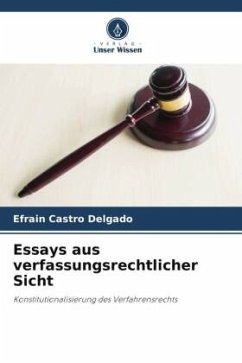 Essays aus verfassungsrechtlicher Sicht - Castro Delgado, Efrain