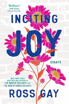 Inciting Joy (eBook, ePUB) - Gay, Ross