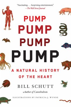 Pump (eBook, ePUB) - Schutt, Bill