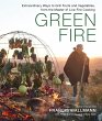 Green Fire (eBook, ePUB) - Bild 1