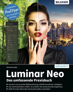 Luminar Neo (eBook, PDF) - Gradias, Michael