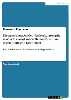 Die Auswirkungen der Nuklearkatastrophe von Tschernobyl auf die Region Bayern und deren politische Deutungen (eBook, PDF)