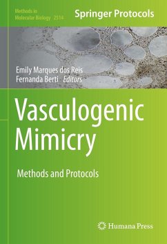 Cover Vasculogenic Mimicry (eBook, PDF)