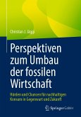 Perspektiven zum Umbau der fossilen Wirtschaft (eBook, PDF)