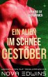 Ein Alien im Schneegestöber (eBook,... - Bild 1