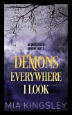 Demons Everywhere I Look (eBook, ePUB)