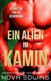 Ein Alien im Kamin (eBook, ePUB)