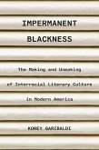 Impermanent Blackness (eBook, ePUB)