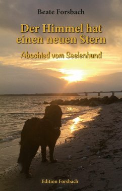 Cover Der Himmel hat einen neuen Stern (eBook, ePUB)