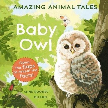 Amazing Animal Tales: Baby Owl Amazing Animal Tales: Baby Owl