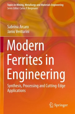 Modern Ferrites in Engineering - Arcaro, Sabrina;Venturini, Janio