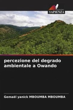 percezione del degrado ambientale a Owando - Mboumba Mboumba, Gemael Yanick