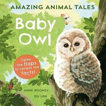Amazing Animal Tales: Baby Owl Amazing Animal Tales: Baby Owl