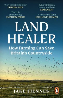 Land Healer - Fiennes, Jake