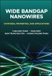Wide Bandgap Nanowires (eBook, PDF) - Bild 1