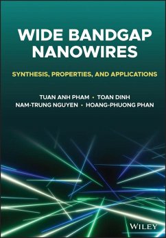 Wide Bandgap Nanowires (eBook, PDF) - Pham, Tuan Anh; Dinh, Toan; Nguyen, Nam-Trung; Phan, Hoang-Phuong