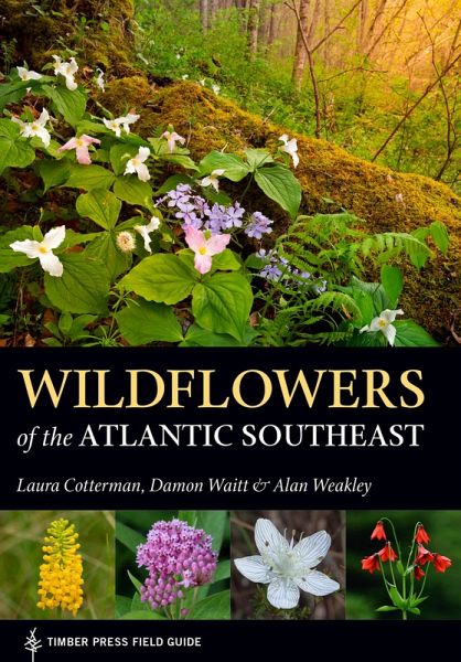 Wildflowers of the Atlantic Southeast (eBook, ePUB) Wildflowers of the Atlantic Southeast (eBook, ePUB)