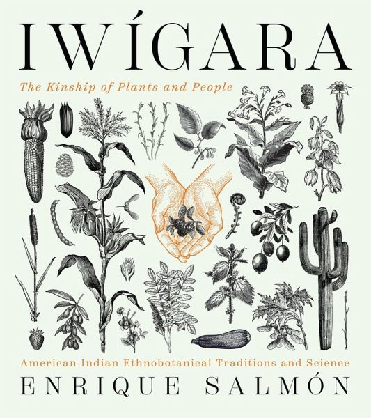 Iwigara (eBook, ePUB)