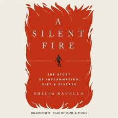 A Silent Fire - Ravella, Shilpa